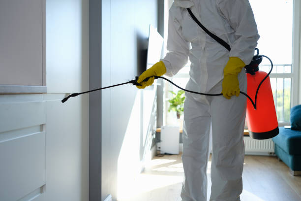 Best Commercial Mold Remediation in Holyoke, MA